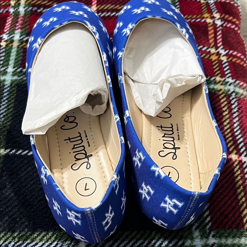Spirit Blue Patterned Flats - Picture 5 of 9